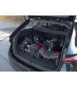 Scooter Raven (Scout) - Image 4